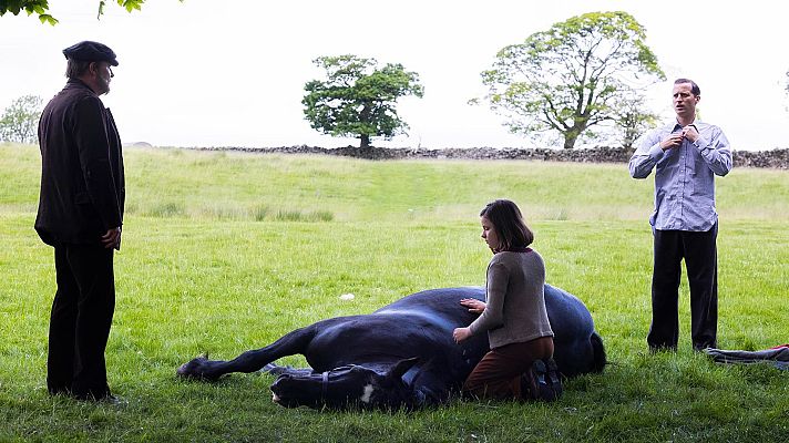Todas las criaturas grandes y pequeñas - Verdades incómodas