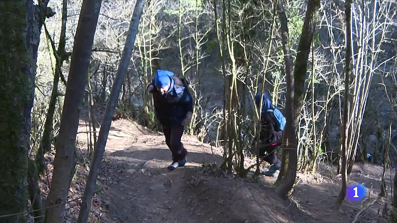 Els bombers entrenen amb realitat virtual per poder perfeccionar els rescats - L'Informatiu | Ver