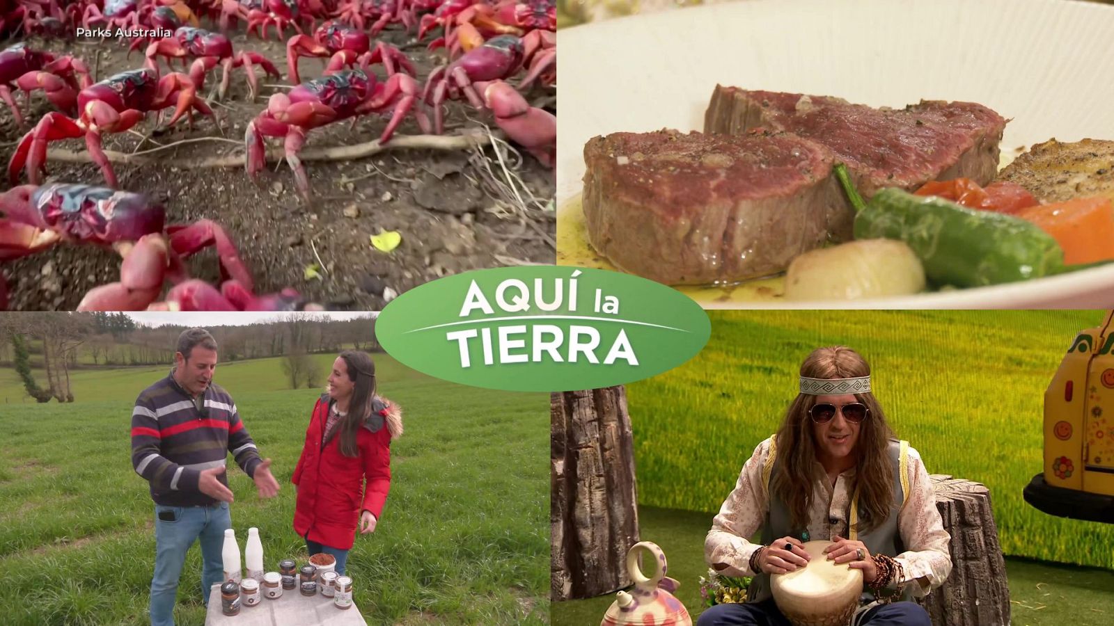 Aquí la Tierra - 19/02/24 - ver ahora