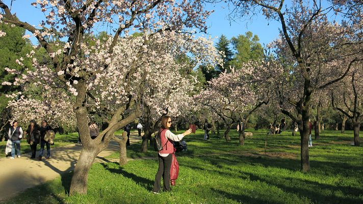 Telediario Matinal - Tiempo estable con pocas nubes y temperaturas altas para la época del año