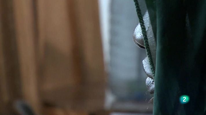 Telecanarias - Telecanarias 2 - 19/02/2024