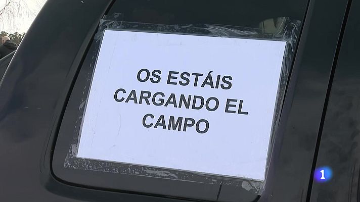 Panorama Regional - Panorama Regional - 20/02/24