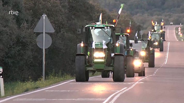 Diario 24 - Diario 24 - 20/02/24