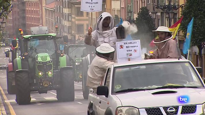 Panorama Regional - Panorama Regional 2 - 20/02/24