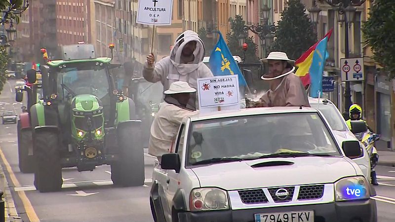 Asturias en 2' - 20/02/24 | Ver