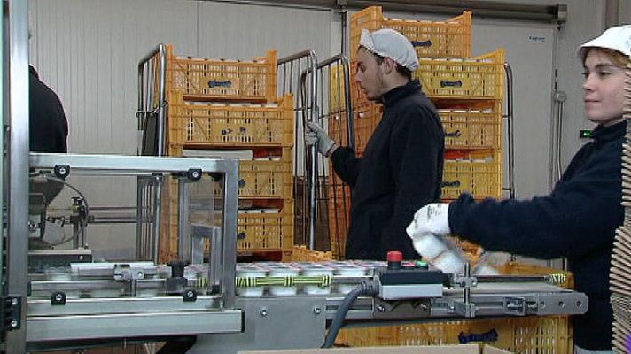 Telediario 1 - La tasa de paro en el sector de los discapacitados se puede duplicar este año