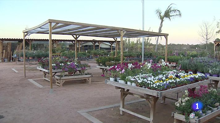 L'Informatiu - La jardineria, al límit per la sequera: algunes empreses perden el 30% de la facturació