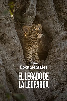 Somos Documentales - El legado de la leoparda