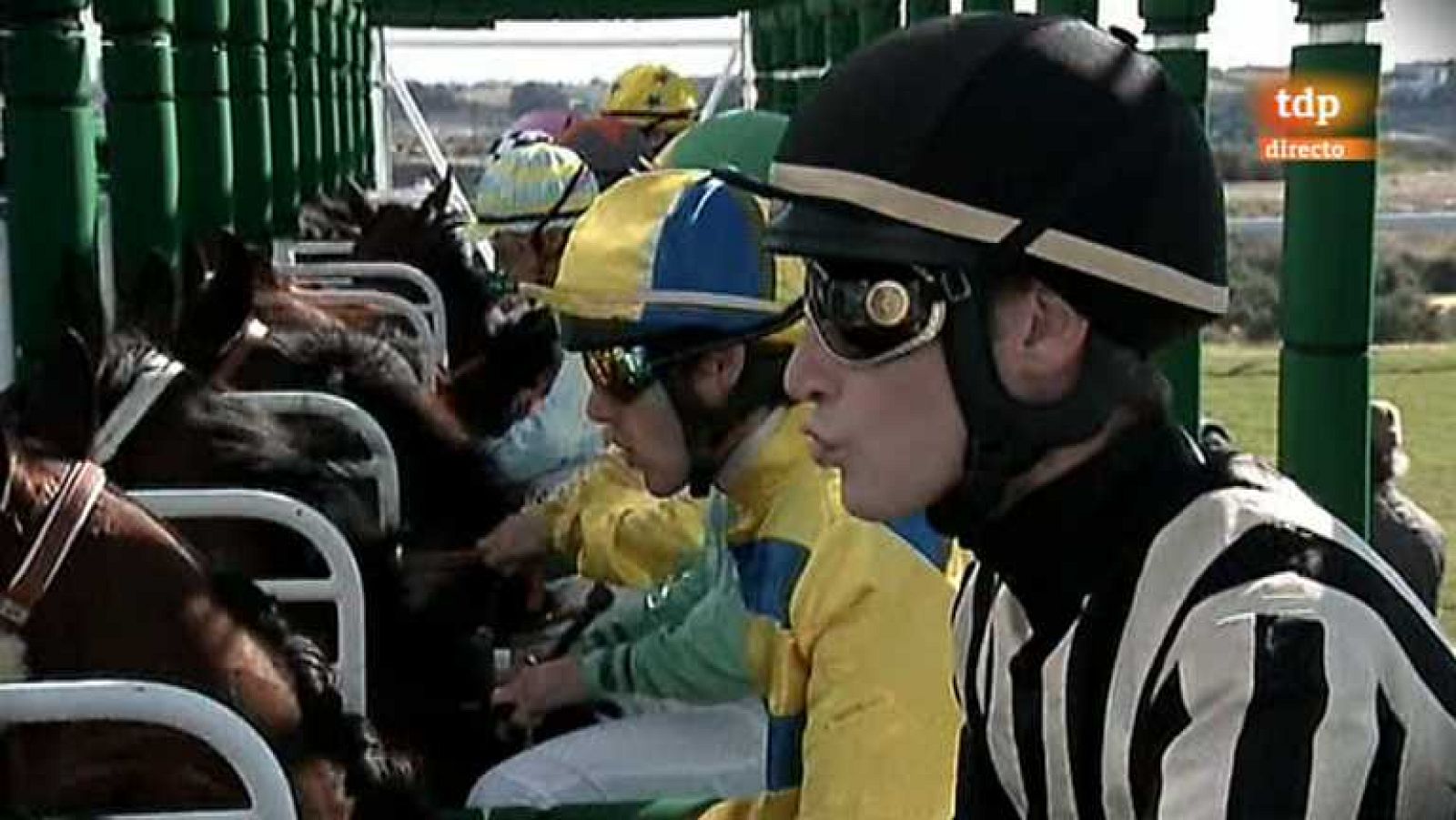 Turf - 02/12/12 - Ver ahora