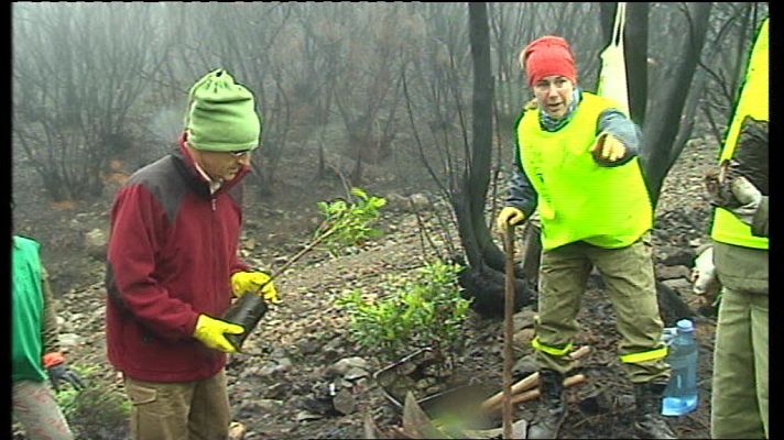 Telecanarias - Telecanarias - 02/12/12