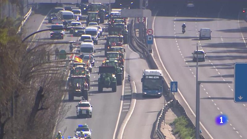 L'Informatiu de la Comunitat Valenciana 1 - 21/02/24 | Ver