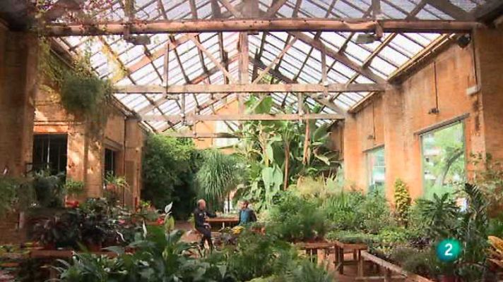 Página Dos - Eduardo Berti