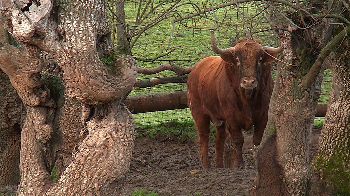 Tendido cero - Tendido Cero - 24/02/24