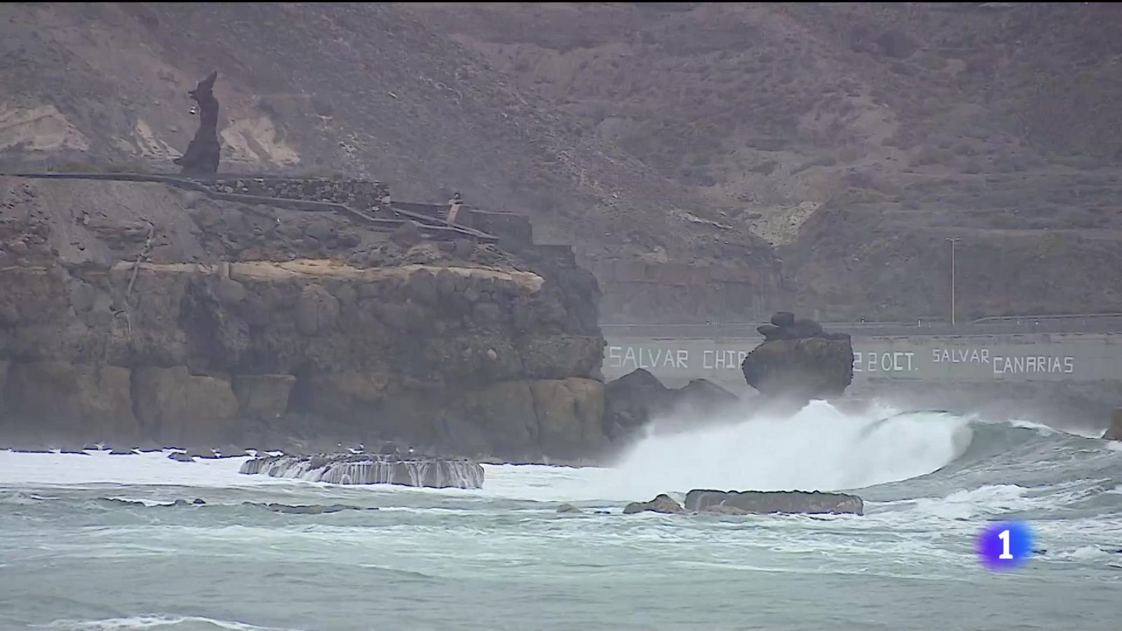 Telecanarias - 25/02/2024 | Ver