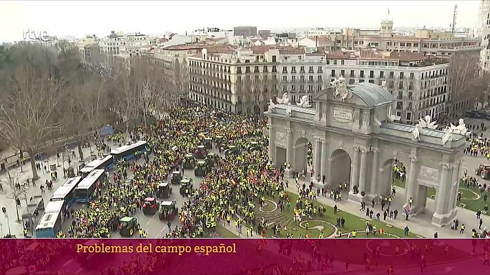 Parlamento - Problemas del campo español