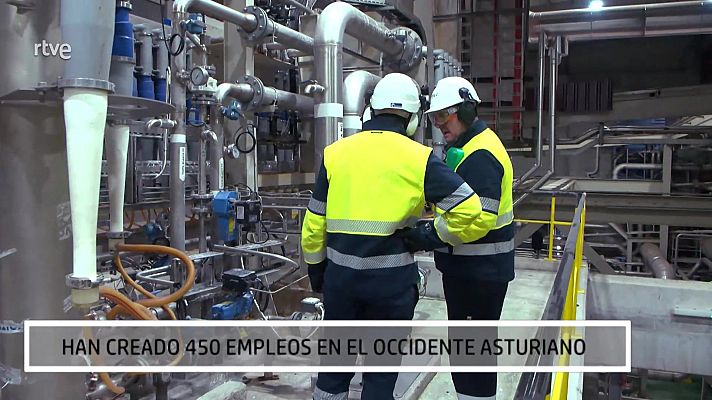 Aquí hay trabajo - En una biofábrica de papel
