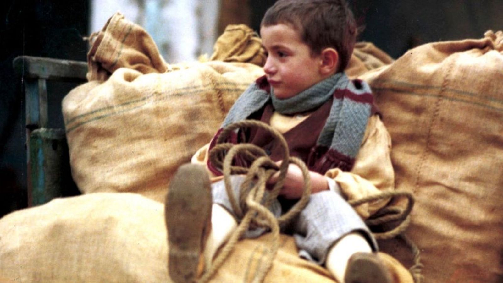 Qué grande es el cine - El árbol de los zuecos