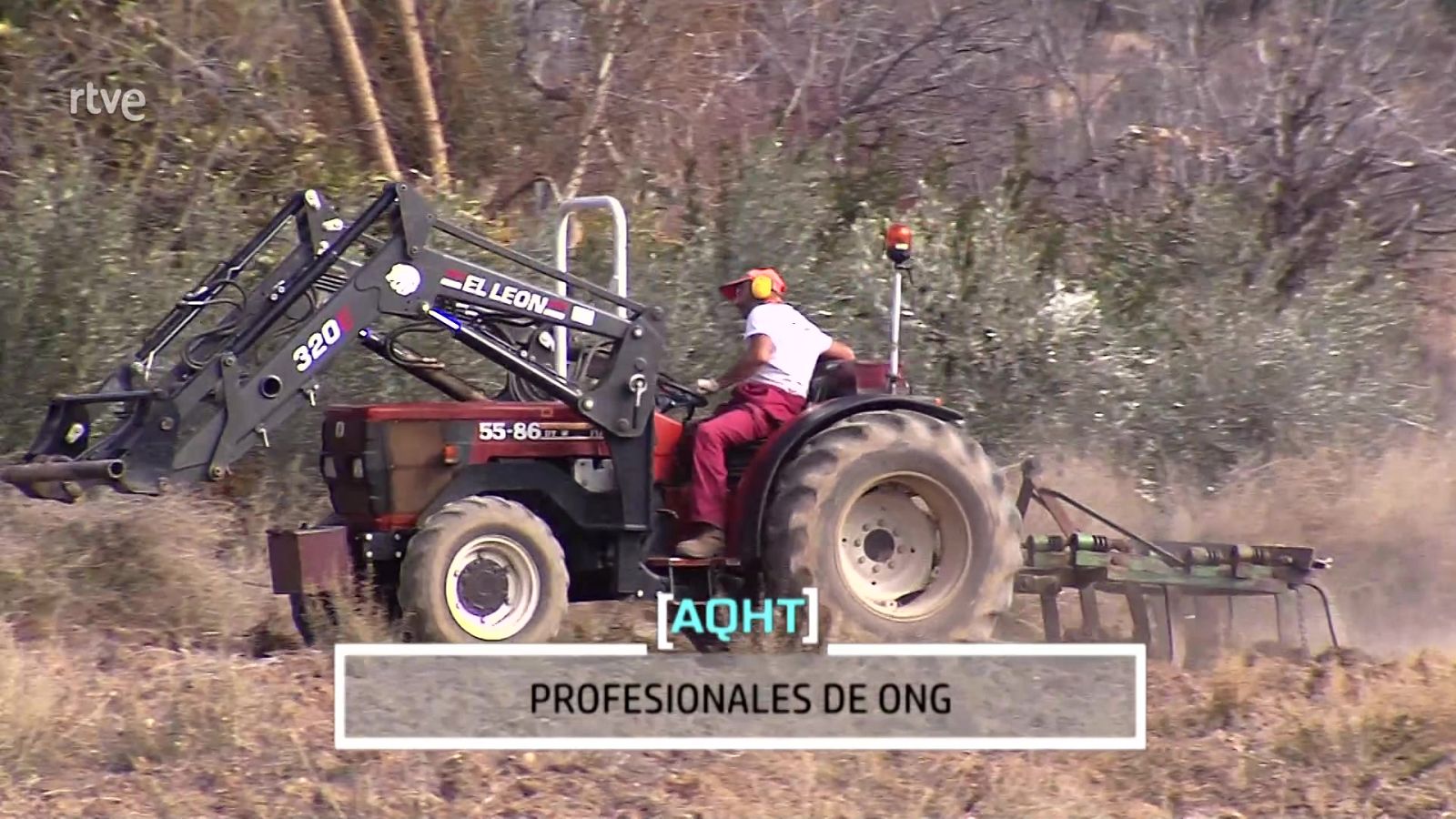 Trabajadores de ONG - Aquí hay trabajo | Ver