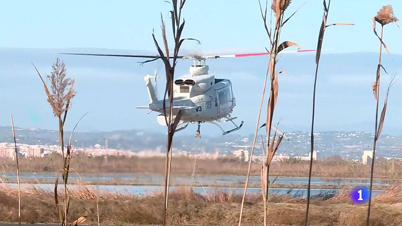 L'Informatiu de la Comunitat Valenciana 2 - 28/02/24 | Ver