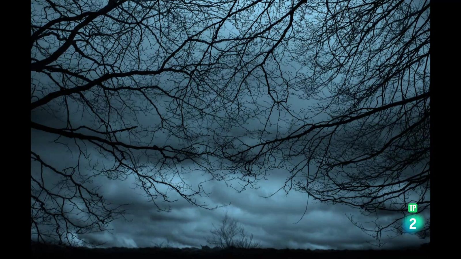 Boek Visual: Xavier Manrique | Ver