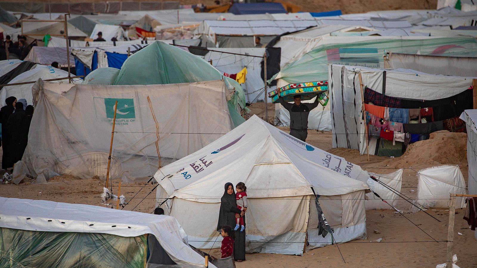 Entrevista en La Noche en 24 Horas a Raquel Martí - La noche en 24h | Ver