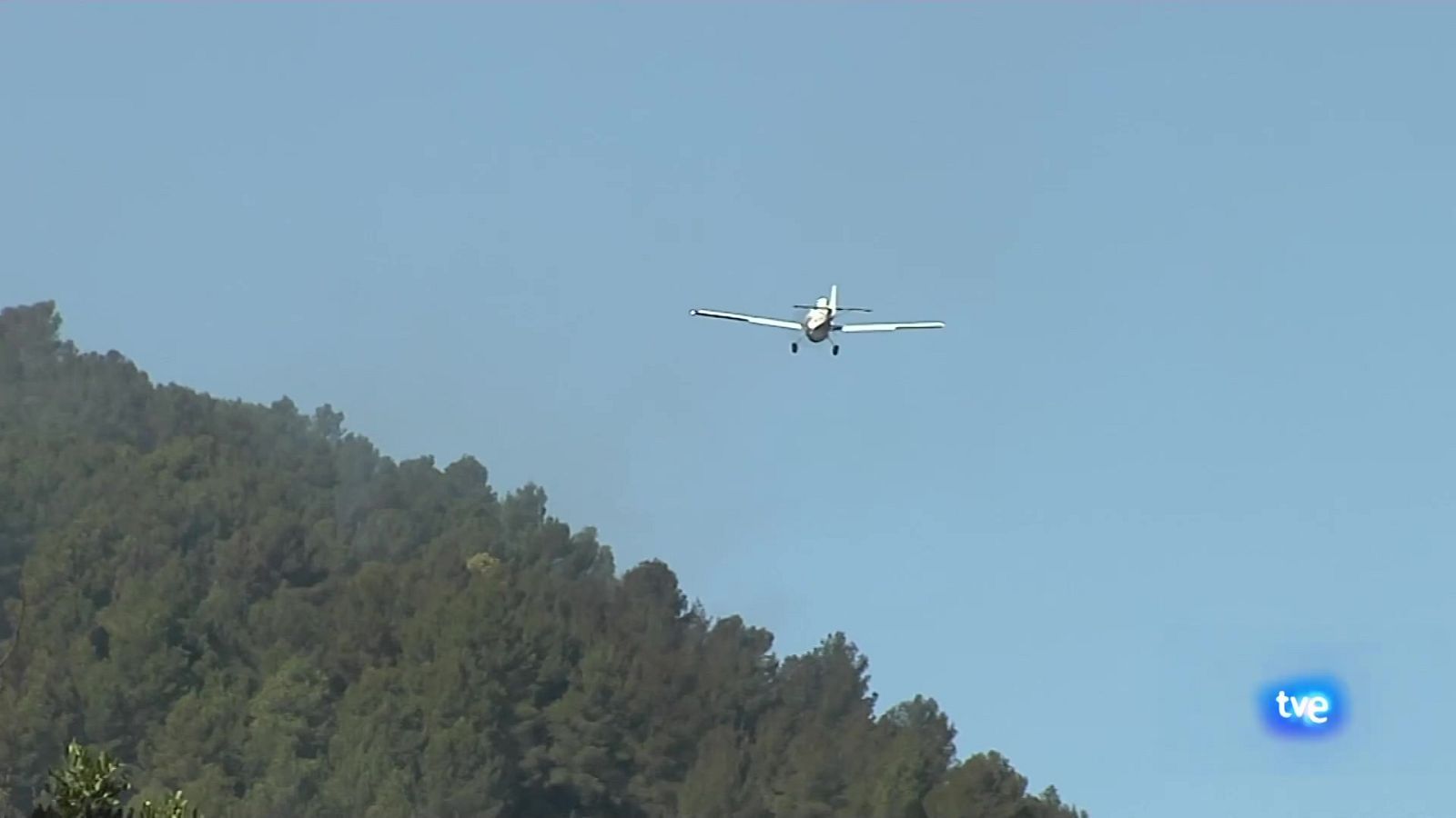 L'Informatiu de la Comunitat Valenciana 1 - 01/03/24 | Ver