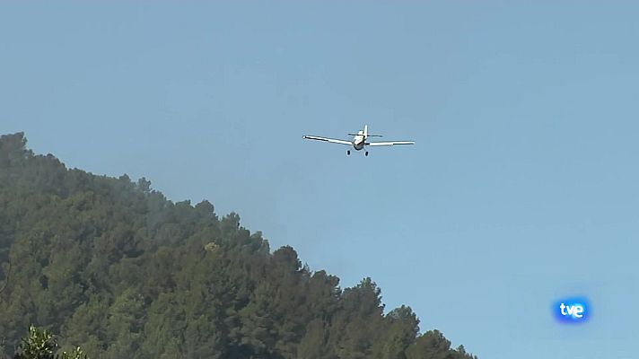 L'informatiu - Comunitat Valenciana - L'Informatiu de la Comunitat Valenciana 1 - 01/03/24