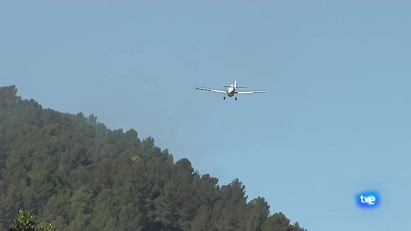 L'Informatiu de la Comunitat Valenciana 1 - 01/03/24 | Ver