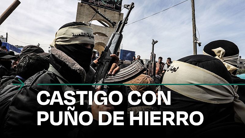 Jóvenes armados patrullan los mercados de Ráfah para hacer cumplir los precios - Modo Digital | Ver