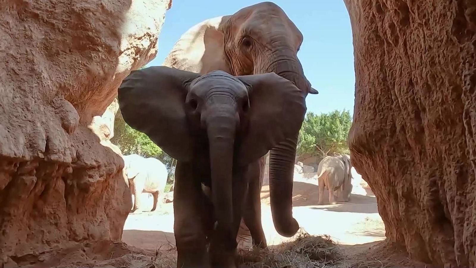 Aquí la Tierra - 03/03/24 - ver ahora