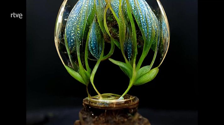 La aventura del Saber - Marina Núñez: Herboristas y guerreras