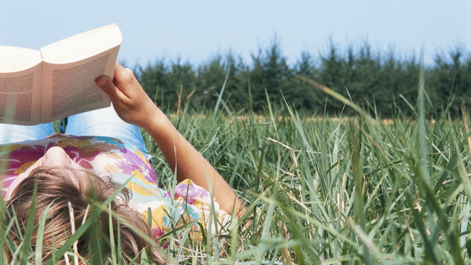 La literatura y el teatro miran más a la infancia - Informativo 24h | Ver