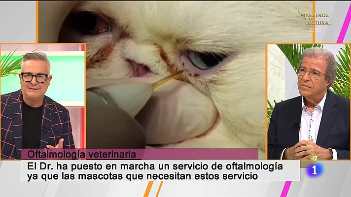 Cerca de ti - Cerca de ti - 07/03/2024