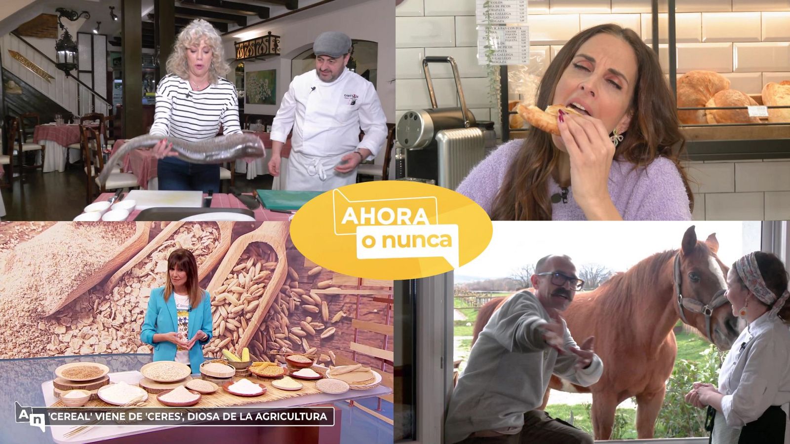 Ahora o nunca - Programa 284 - ver ahora