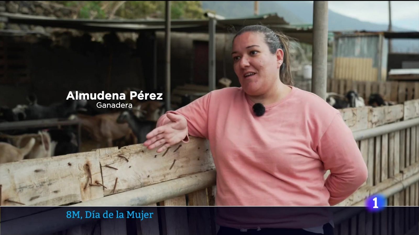 Telecanarias - 08/03/2024