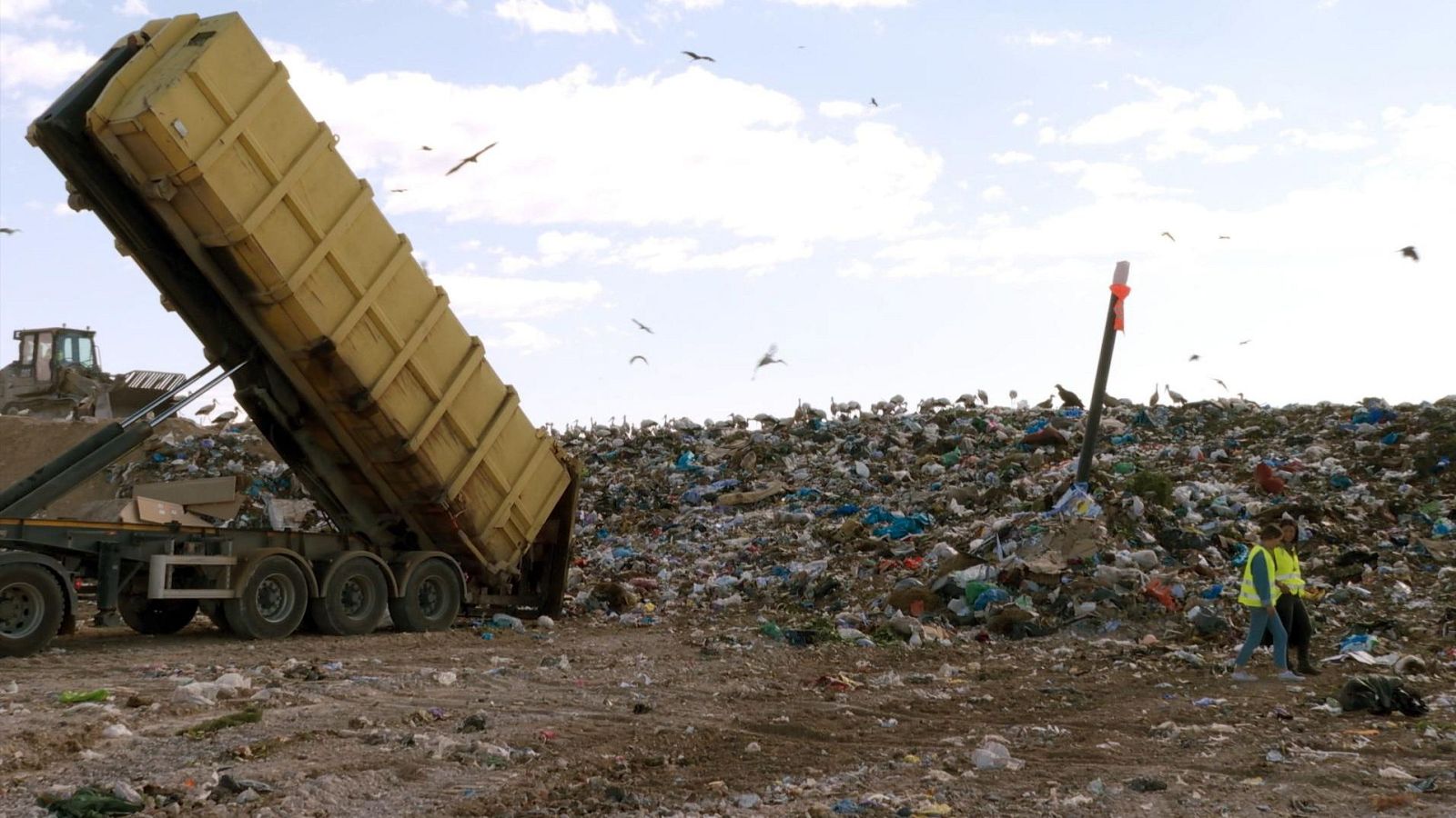 El escarabajo verde - Periodo de cambio - ver ahora