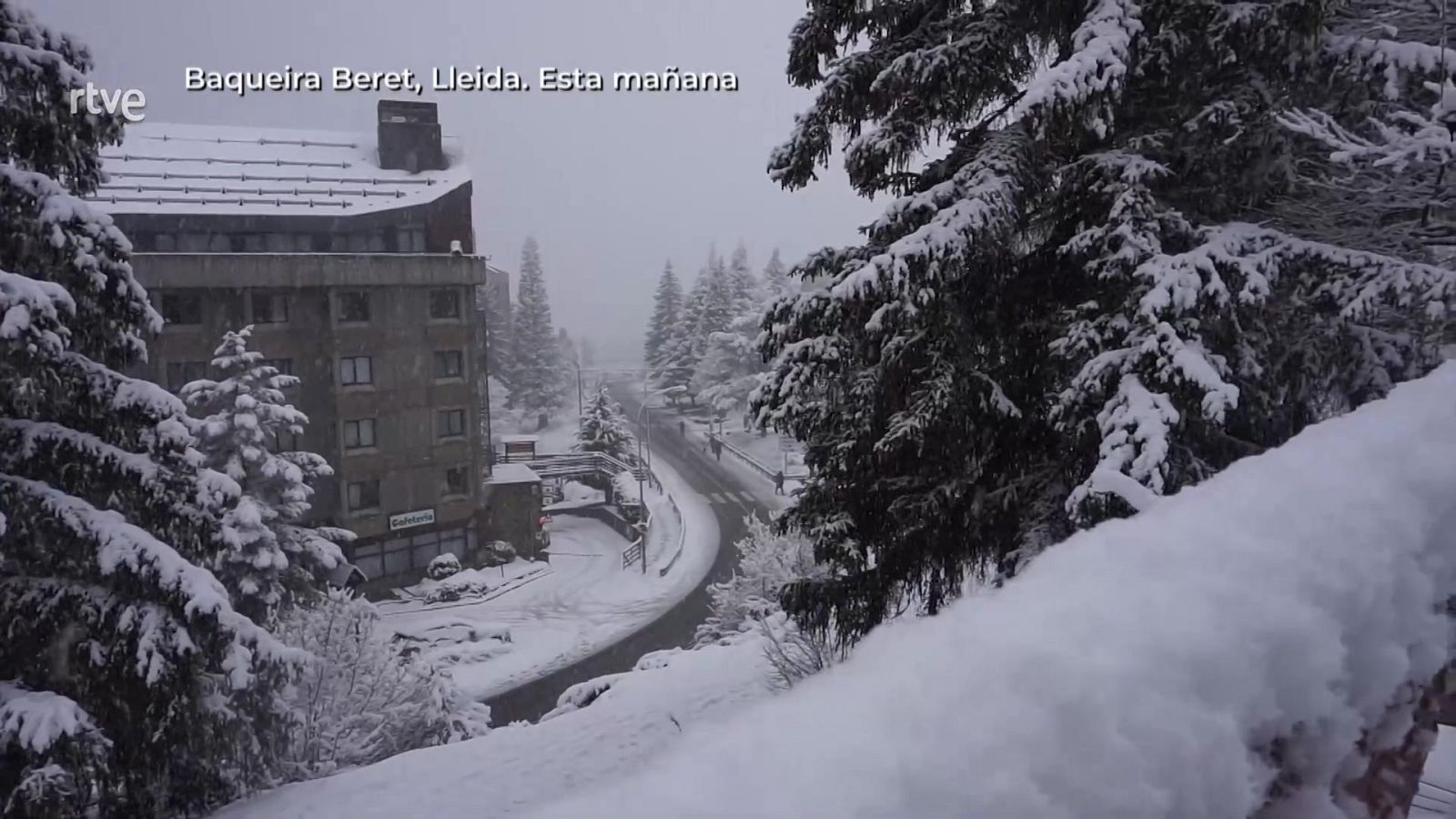 Aquí la Tierra - 08/03/24 - ver ahora