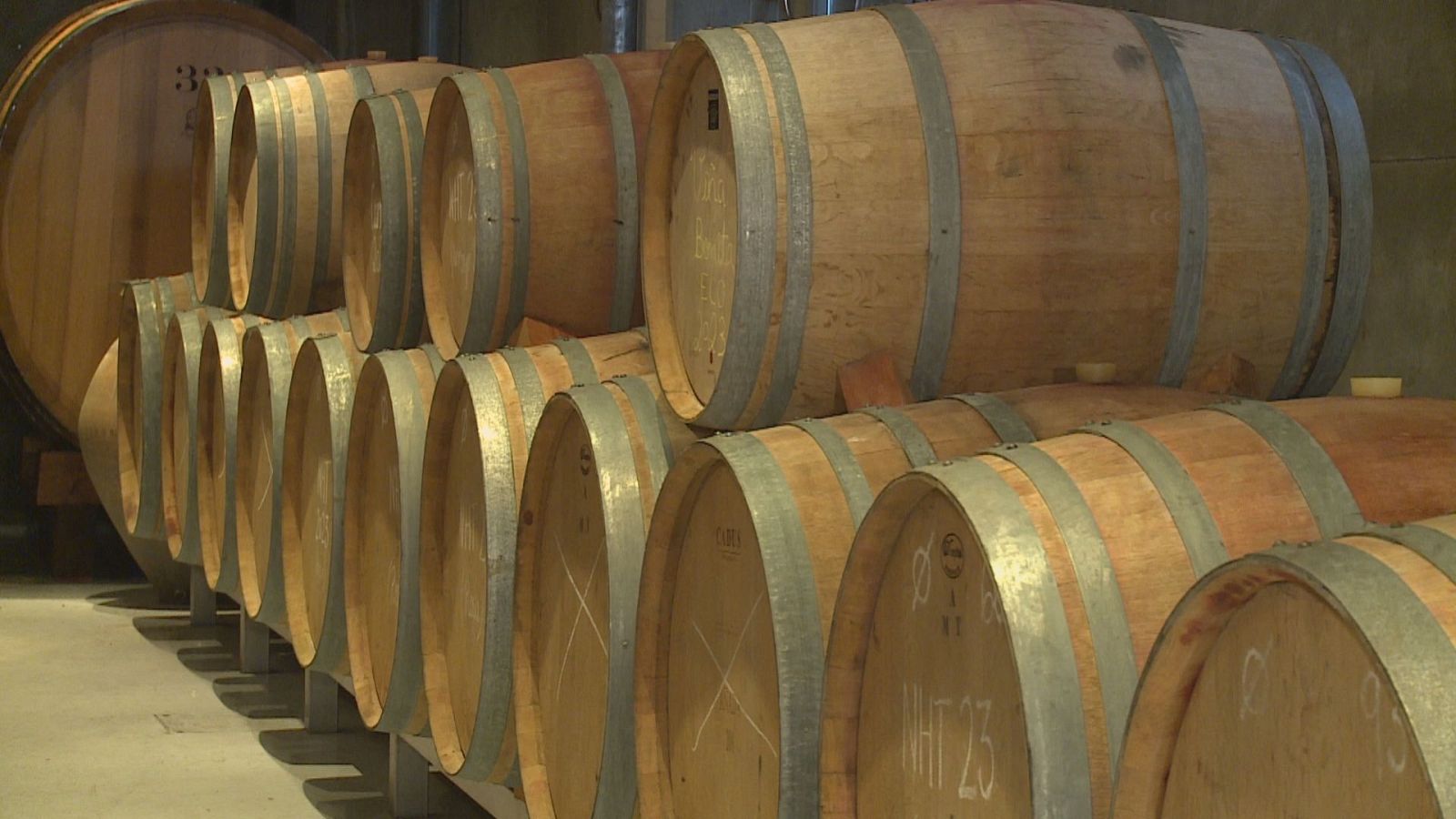 Agrosfera - 09/03/24 - ver ahora