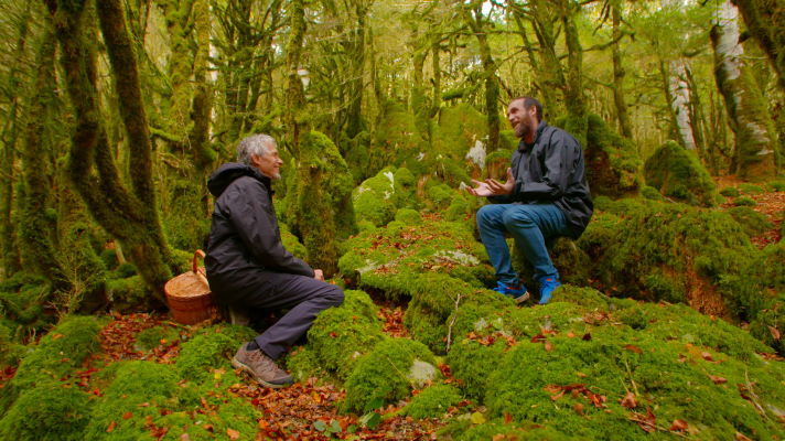 El señor de los bosques - Irati, bosque de Bojes