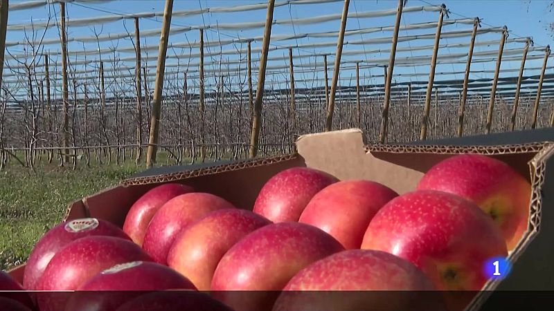 L'informatiu 2 - 12/03/2024 - L'Informatiu | Veure