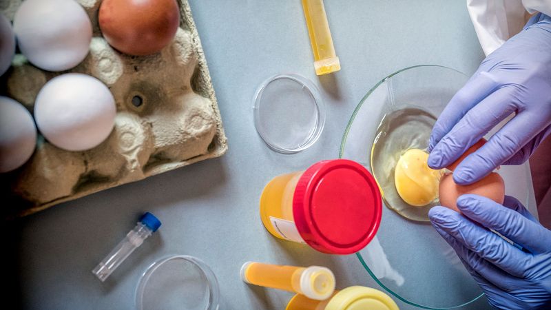 ¿Cómo se detectan en los laboratorios los fraudes alimentarios? | Ver