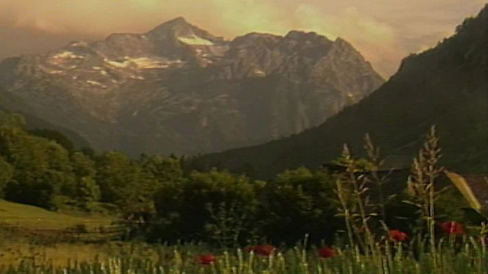 Era Lucana - Es bosquí