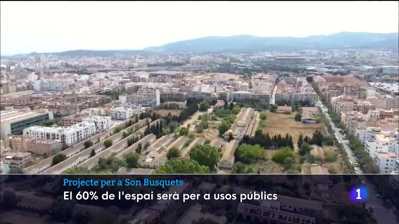 El futur de Son Busquets | Ver