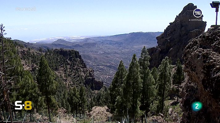 Somos 8 - Somos 8 - 13/03/2024