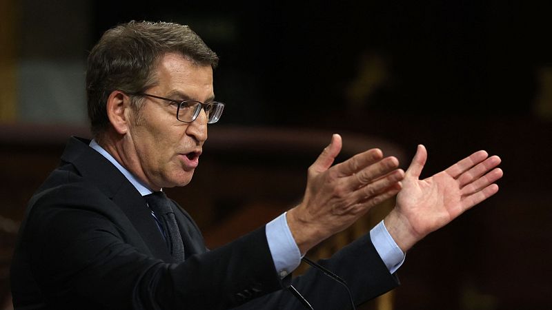 Feijóo acusa al Gobierno de "sumisión" al independentismo por la amnistía: "Esta ley divide a España en dos"