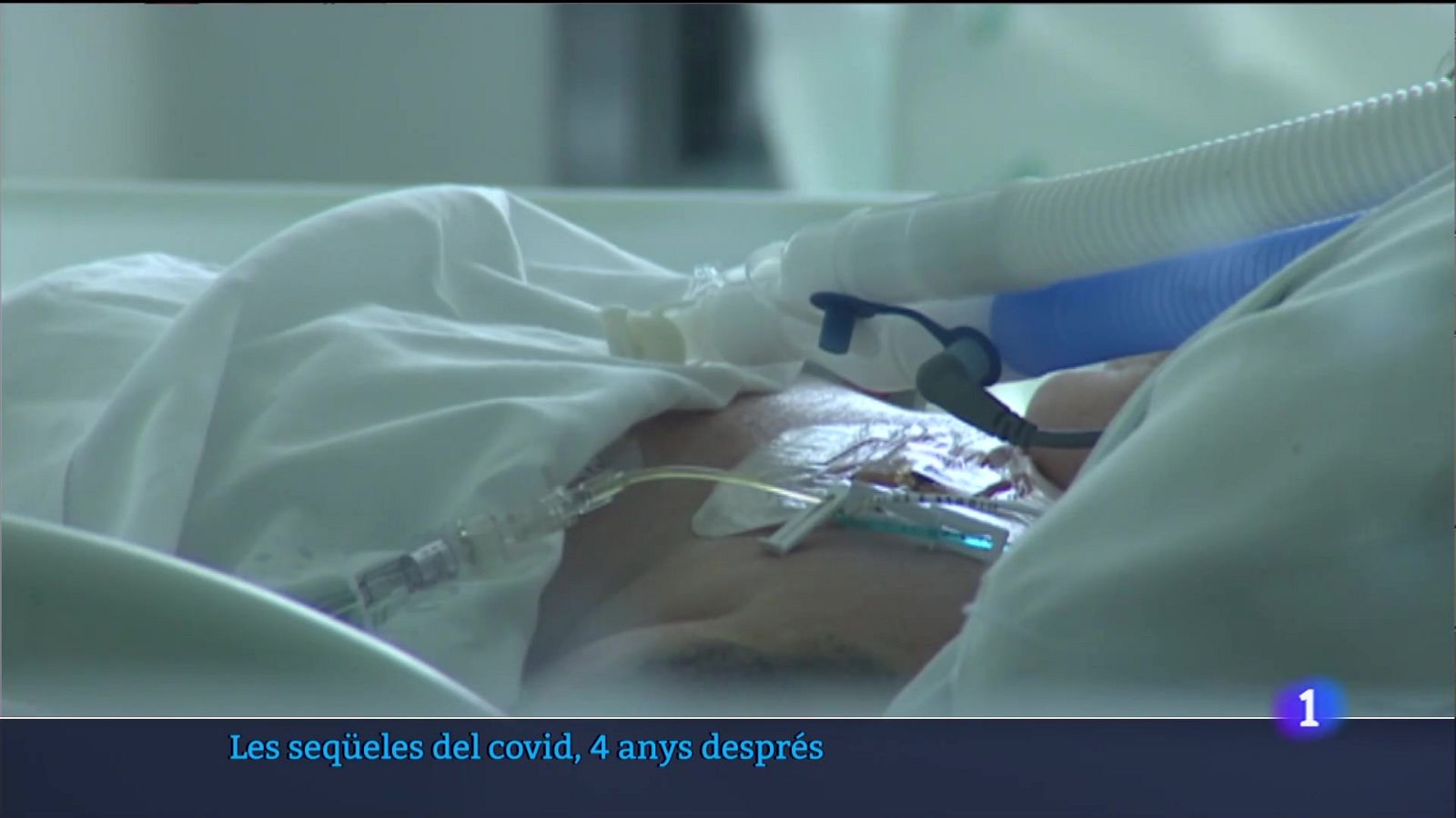 Covid persistent | Ver