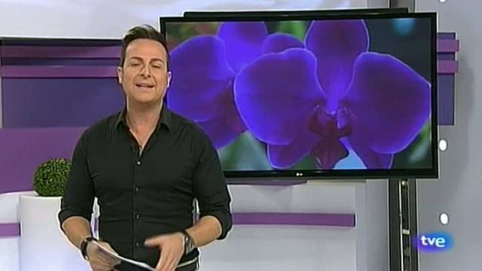 Cerca de ti - 04/12/12 - Cerca de ti | Ver