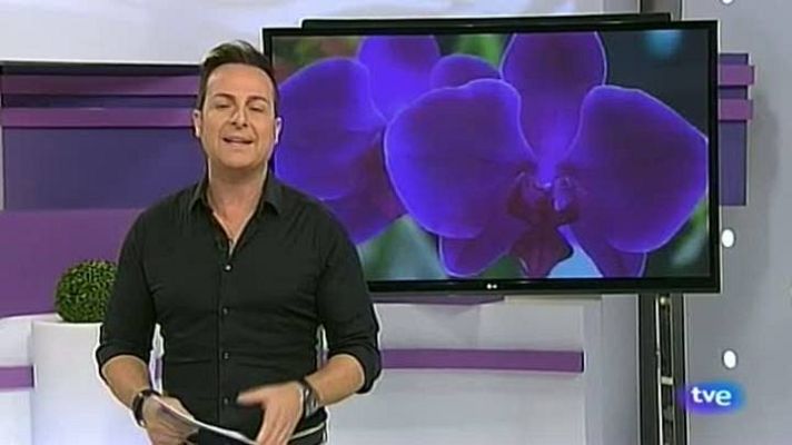 Cerca de ti - Cerca de ti - 04/12/12