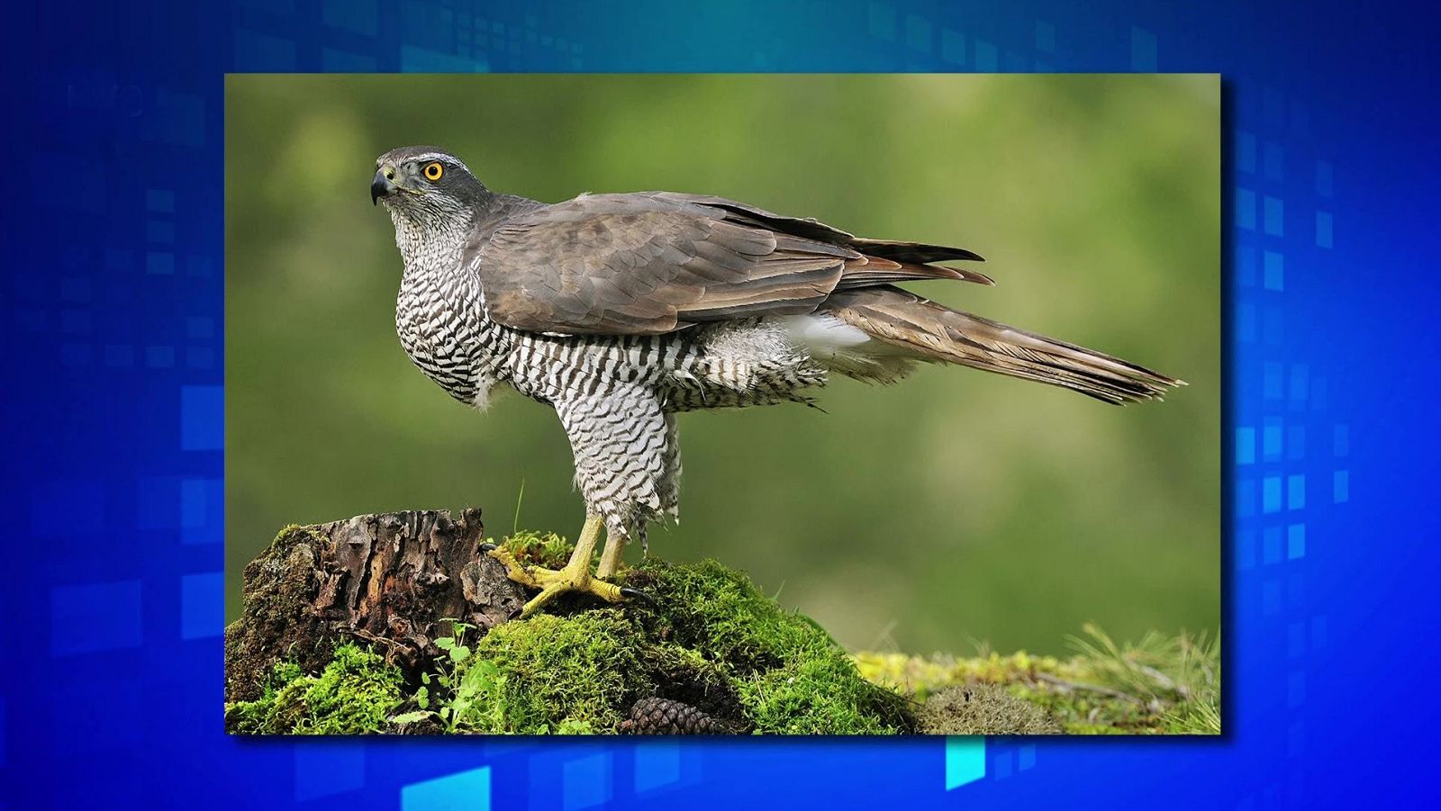 Saber y ganar - 15/03/24 - ver ahora