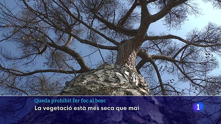 L'Informatiu - Queda prohibit fer foc al bosc per l'extrema sequera